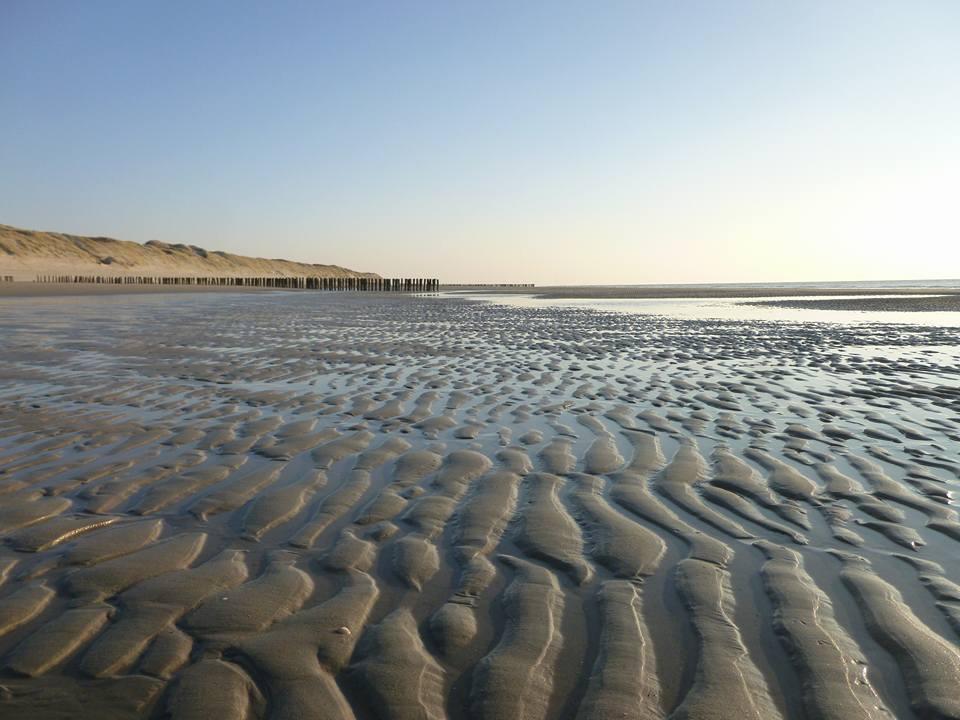 شقة La Casa Aan Zee إليميت المظهر الخارجي الصورة
